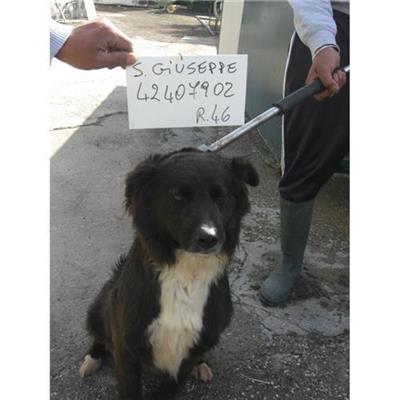 SAN GIUSEPPE VESUVIANO - 380260042407902